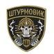 Шеврон / патч " Штурмовик"